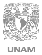 UNAM-logo-BN 1